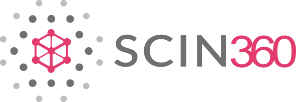 Logo principal SCIN360 gris sans phrase avec couleur magenta solutions conseils